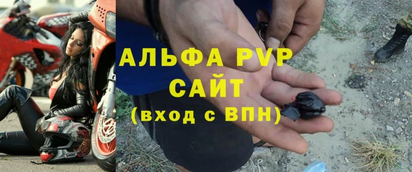 стафф Алексин