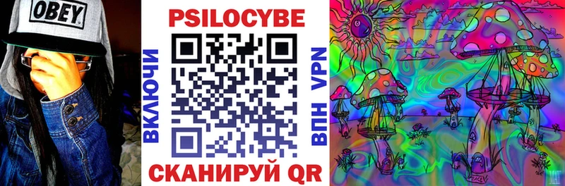 наркошоп  блэк спрут ТОР  Галлюциногенные грибы MAGIC MUSHROOMS  Чёрмоз 
